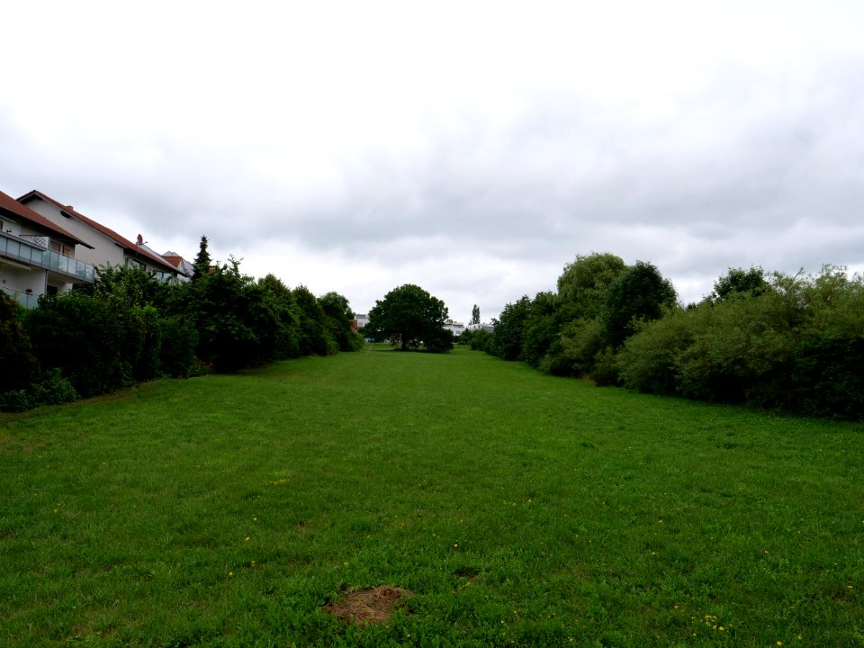 Grüne Lunge park Fulda 2019-07-14 01