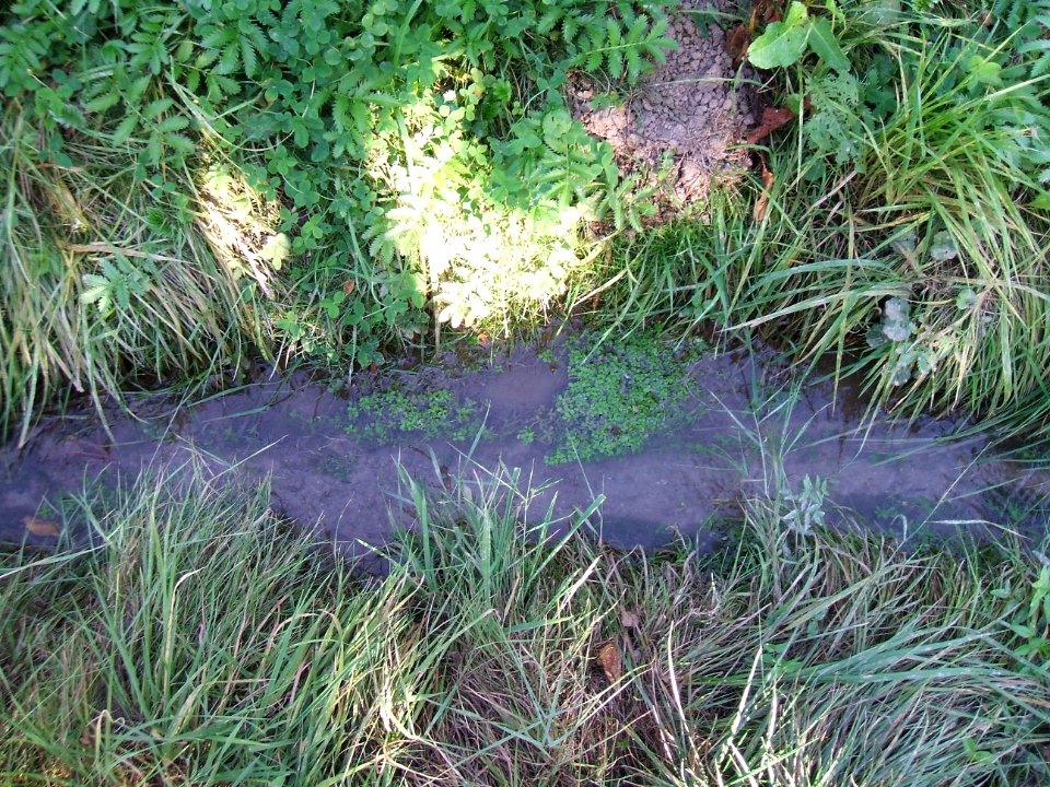 Graben Fetter Grund unterhalb Quelle Kirschenberg