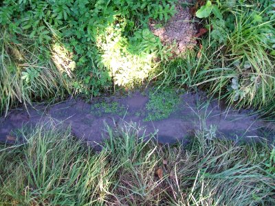 Graben Fetter Grund unterhalb Quelle Kirschenberg