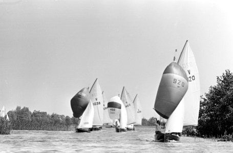 Goudse zeilweek op Reeuwijkse plassen, Bestanddeelnr 919-2037
