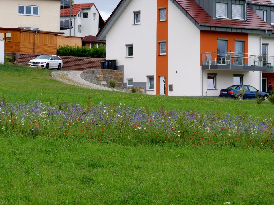 Grüne Lunge park Fulda 2019-07-14 04