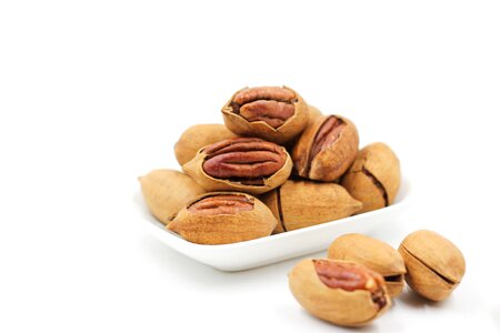 Pecans nut walnuts