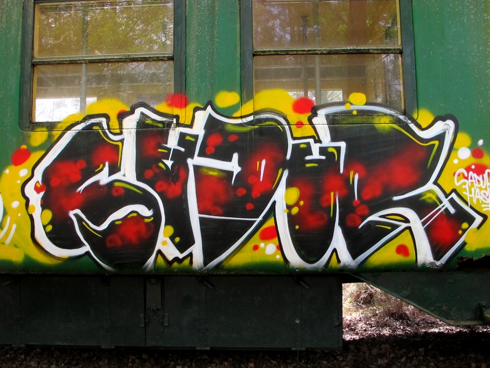 Graffiti sur les wagons de l'ecomusée de Marquèzes 03