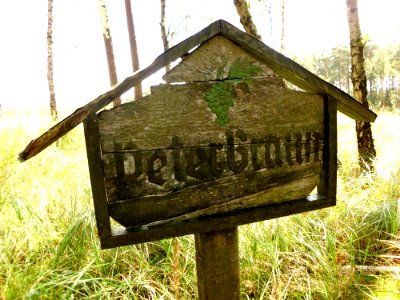 Grab peter braun 4