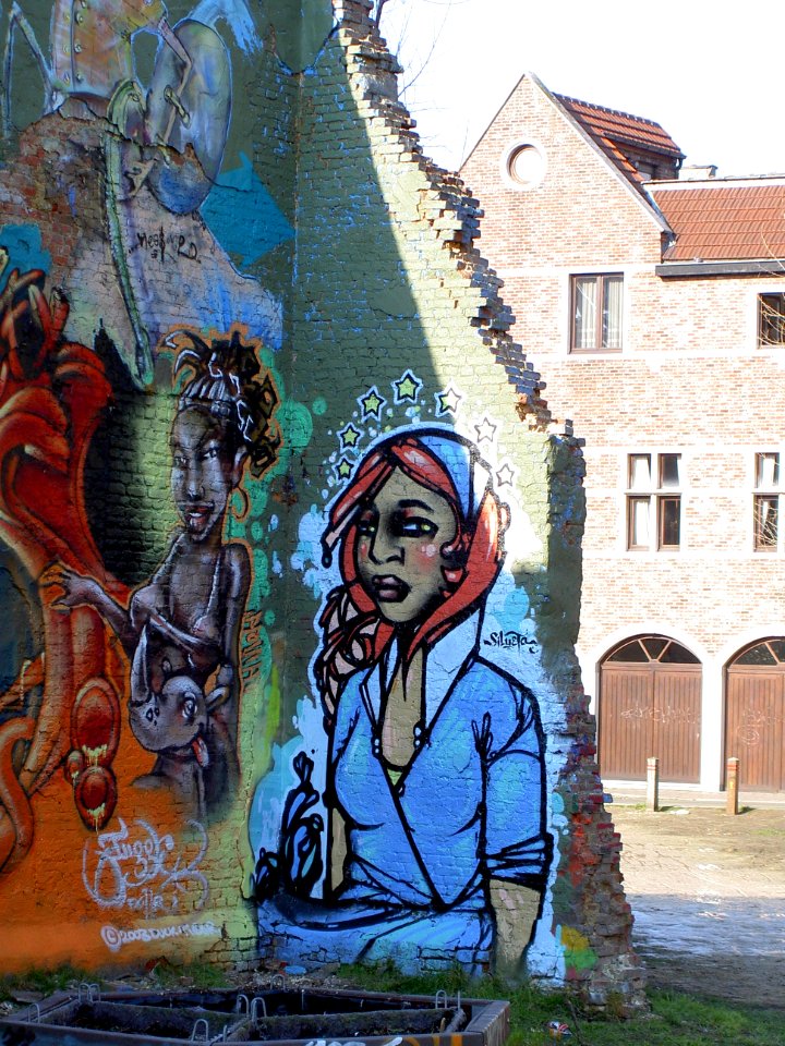 Graffiti somewhere in Antwerp, pic5