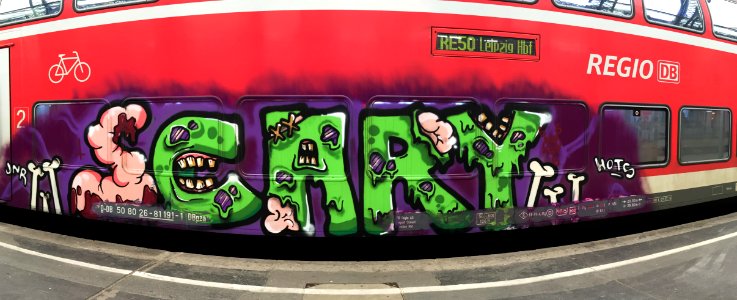 Graffiti "Scary" auf einem RE von Dresden nach Leipzig
