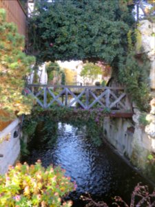Grafing Wieshamer Bach