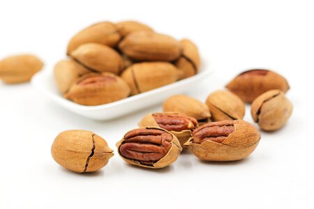 Open protein food