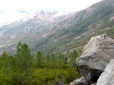 Gr-20-calvi-to-ortu-di-u-piobbu-08