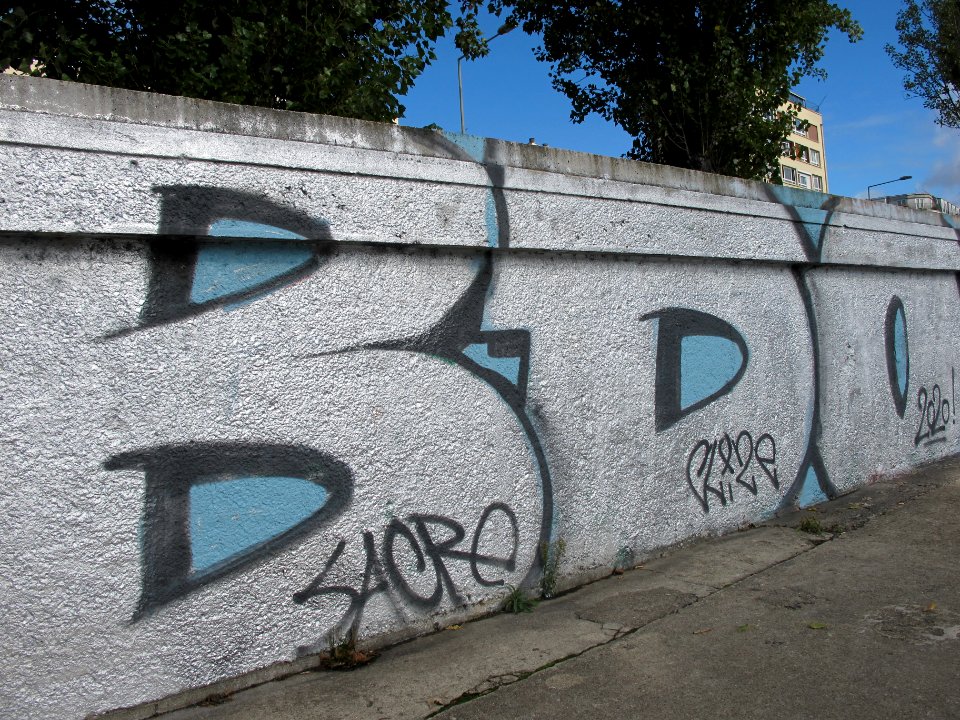 Graffiti à CourbevoieIMG 3381 26