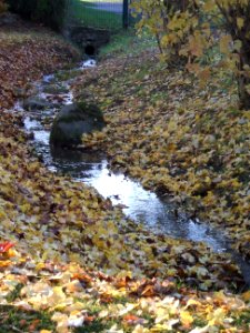 Graben Fetter Grund Friedhof