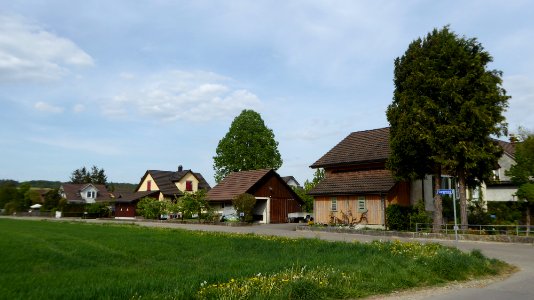 Grüneck (TG)