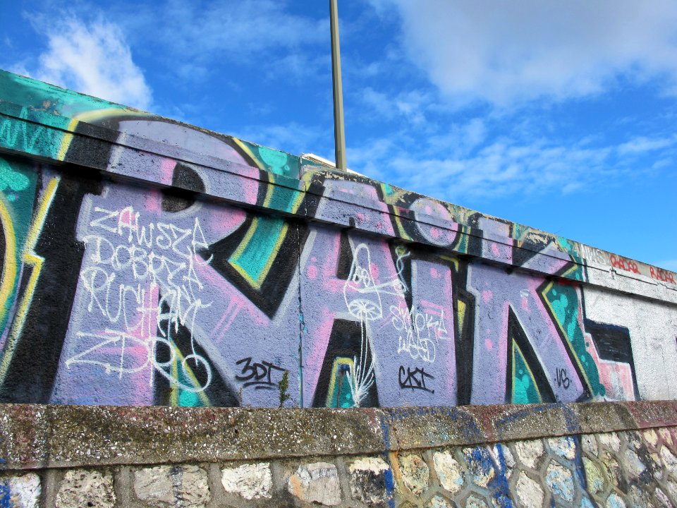 Graffiti à CourbevoieIMG 3381 24