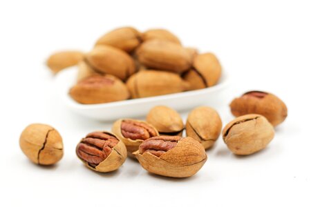 Pecans nut walnuts