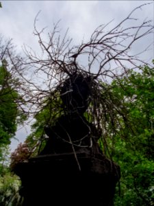 Gräber Ostfriedhof München 5