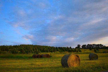 Green agriculture landscape photo