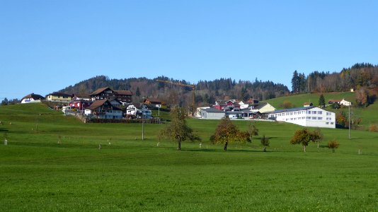 Grämigen von Ost