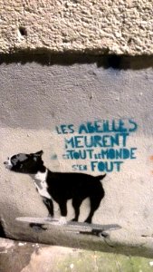 Grafitti à grenoble