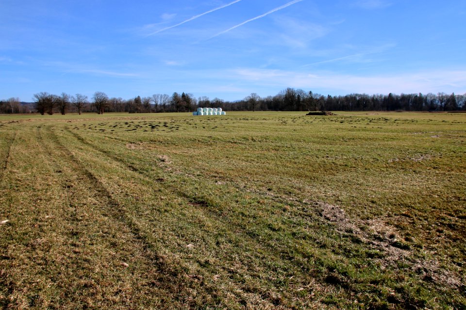 Grabhügel bei wielenbach D-1-8132-0100