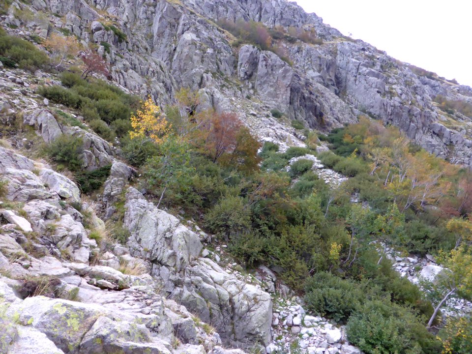 Gr-20-onda-to-vizzavona-05