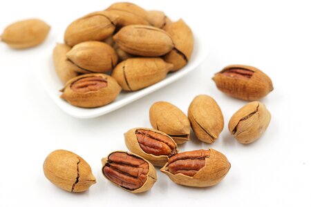 Pecans nut walnuts
