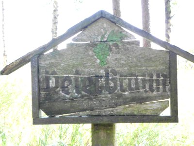 Grab peter braun 5