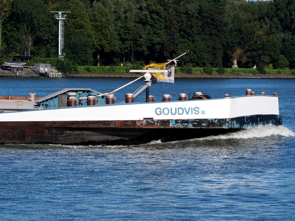 Goudvis II (ship, 1995) ENI 06004002, Dordrecht pic2