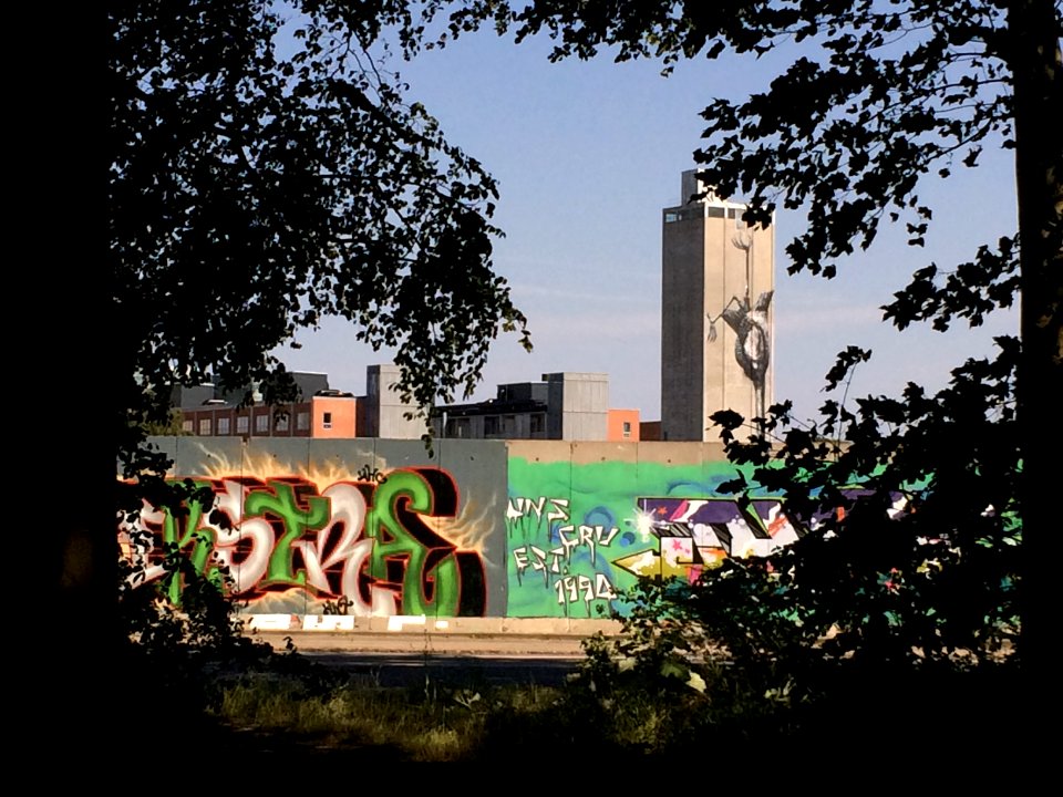 Graffiti ved Gammelsø set fra Åløkkeskoven