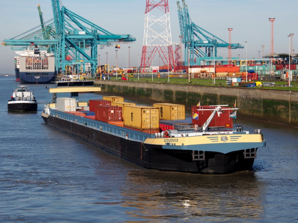 Goudvis (ship, 2010), ENI 06105081, Port of Antwerp pic1