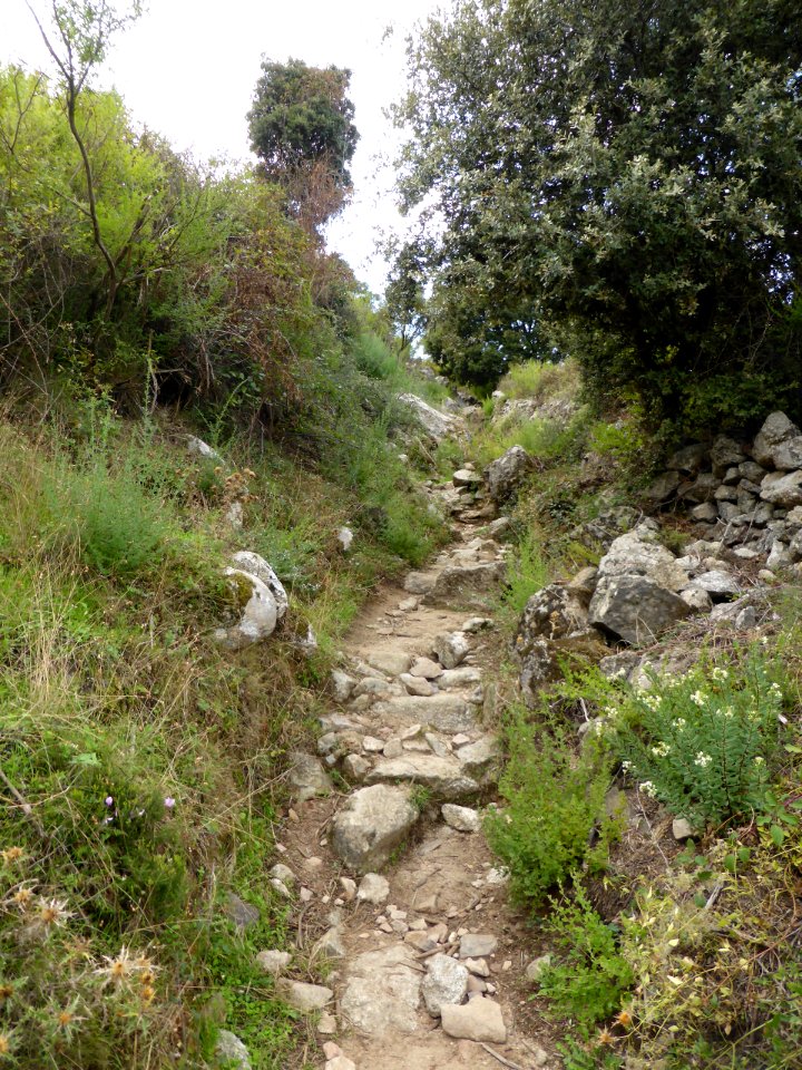 Gr-20-calvi-to-ortu-di-u-piobbu-05