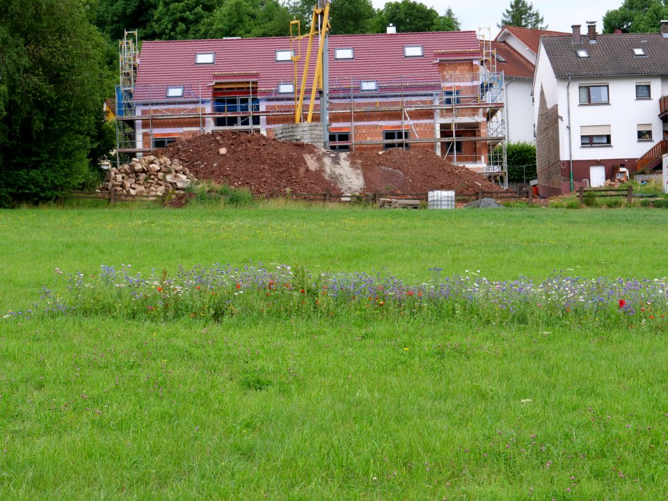 Grüne Lunge park Fulda 2019-07-14 03
