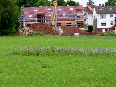 Grüne Lunge park Fulda 2019-07-14 03