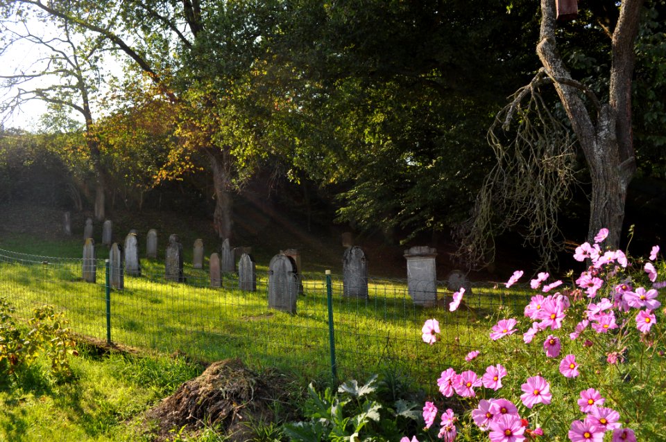 Grävenwiesbach, jüdischer Friedhof