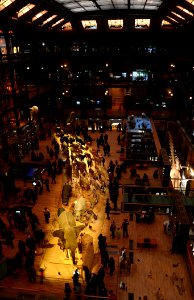 Grande Galerie de l'Evolution 25022013 05