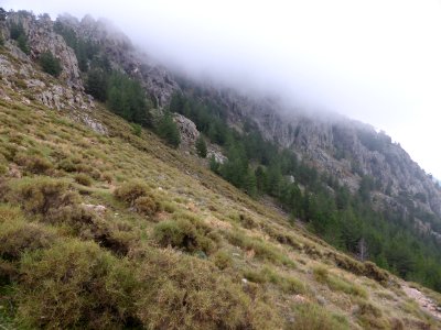 Gr-20-calvi-to-ortu-di-u-piobbu-13