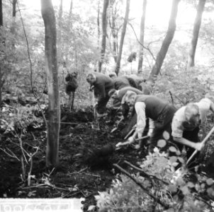 Graafwerk in het Amsterdamse Bos , zoeken naar rest buit Heiligeweg, Bestanddeelnr 916-9986