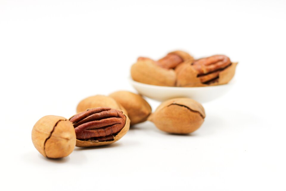 Pecans nut walnuts