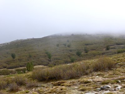 Gr-20-castel-de-vergio-to-manganu-10