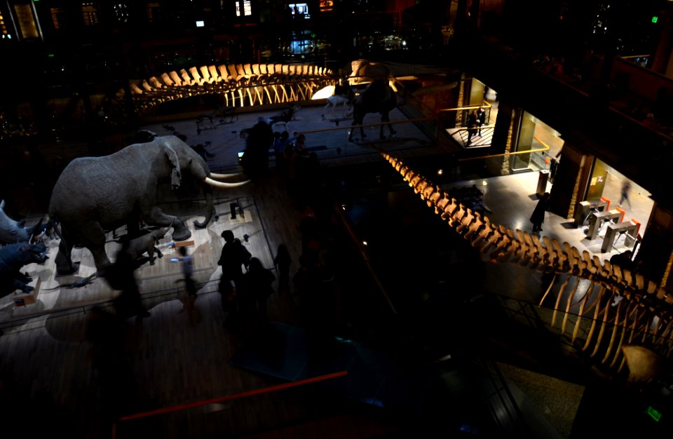 Grande Galerie de l'Evolution 25022013 02