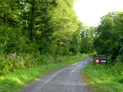 Grandchamp (Ardennes) dans le Bois du château