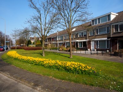 Graan voor Visch B-weg 14000 nrs