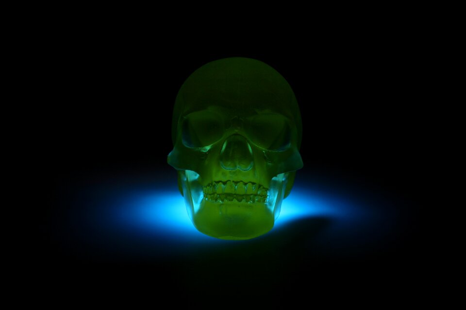 Skull glass sculpture