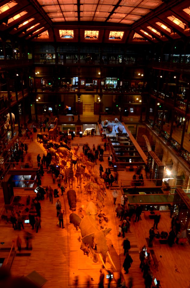 Grande Galerie de l'Evolution 25022013 03