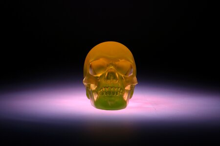 Skull glass sculpture photo