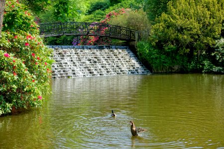 Grand Cascade - Sheffield Park and Garden - East Sussex, England - DSC05681