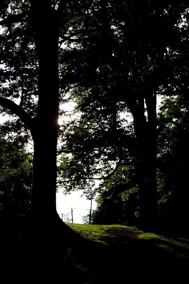Grandview Park, 2015-05-26, 01