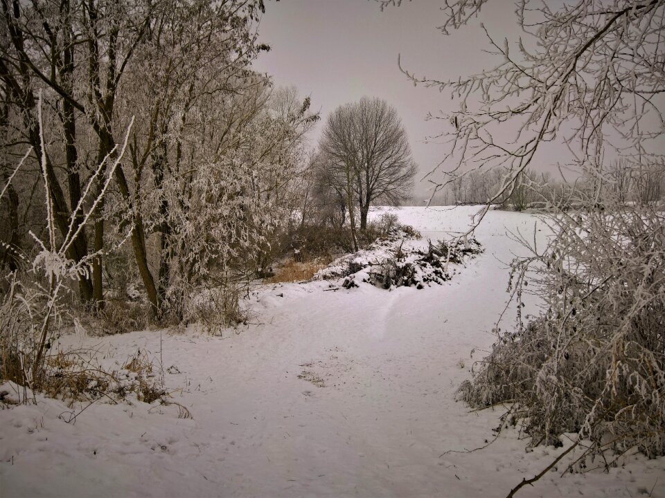 Snow firn brown memory