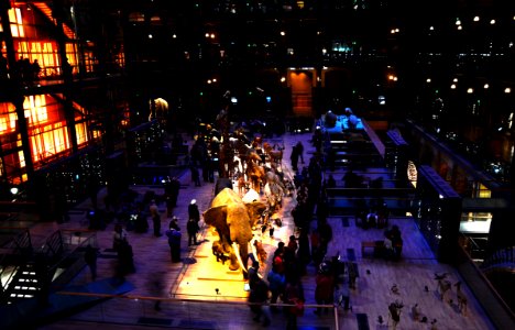 Grande Galerie de l'Evolution 25022013 01
