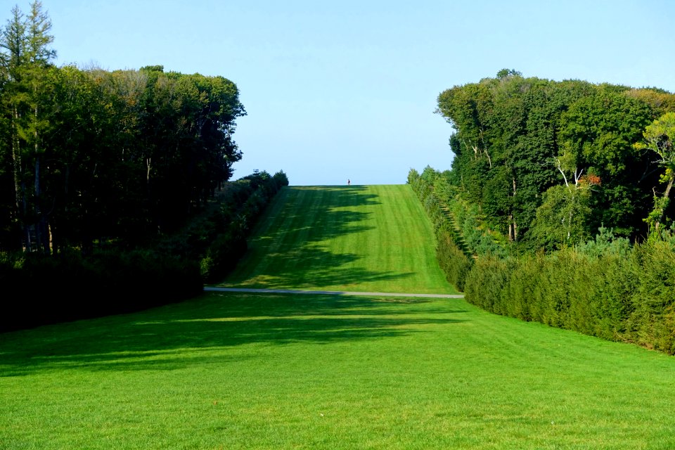 Grand Allée - Castle Hill on the Crane Estate - Ipswich, Massachusetts, USA - DSC06399