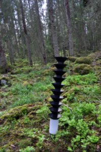 Granbarkborre fångst - Hvalstaskogen